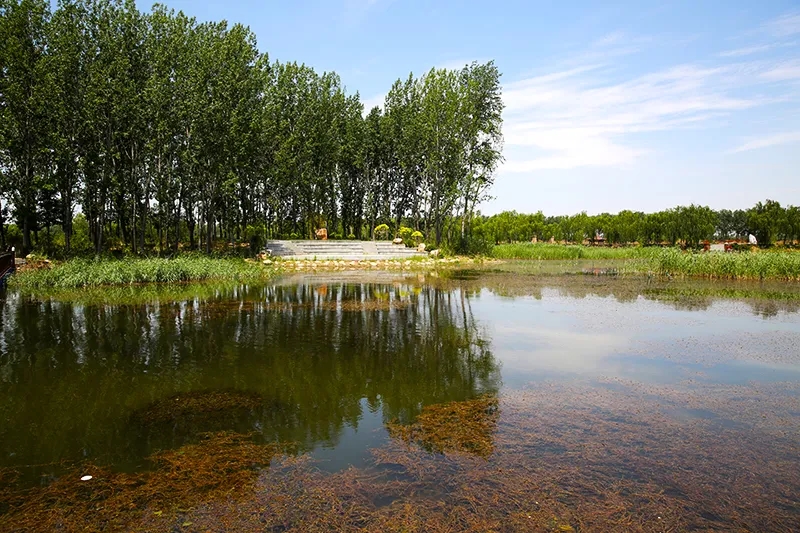 1623383331208624.jpg 640.webp (2).jpg